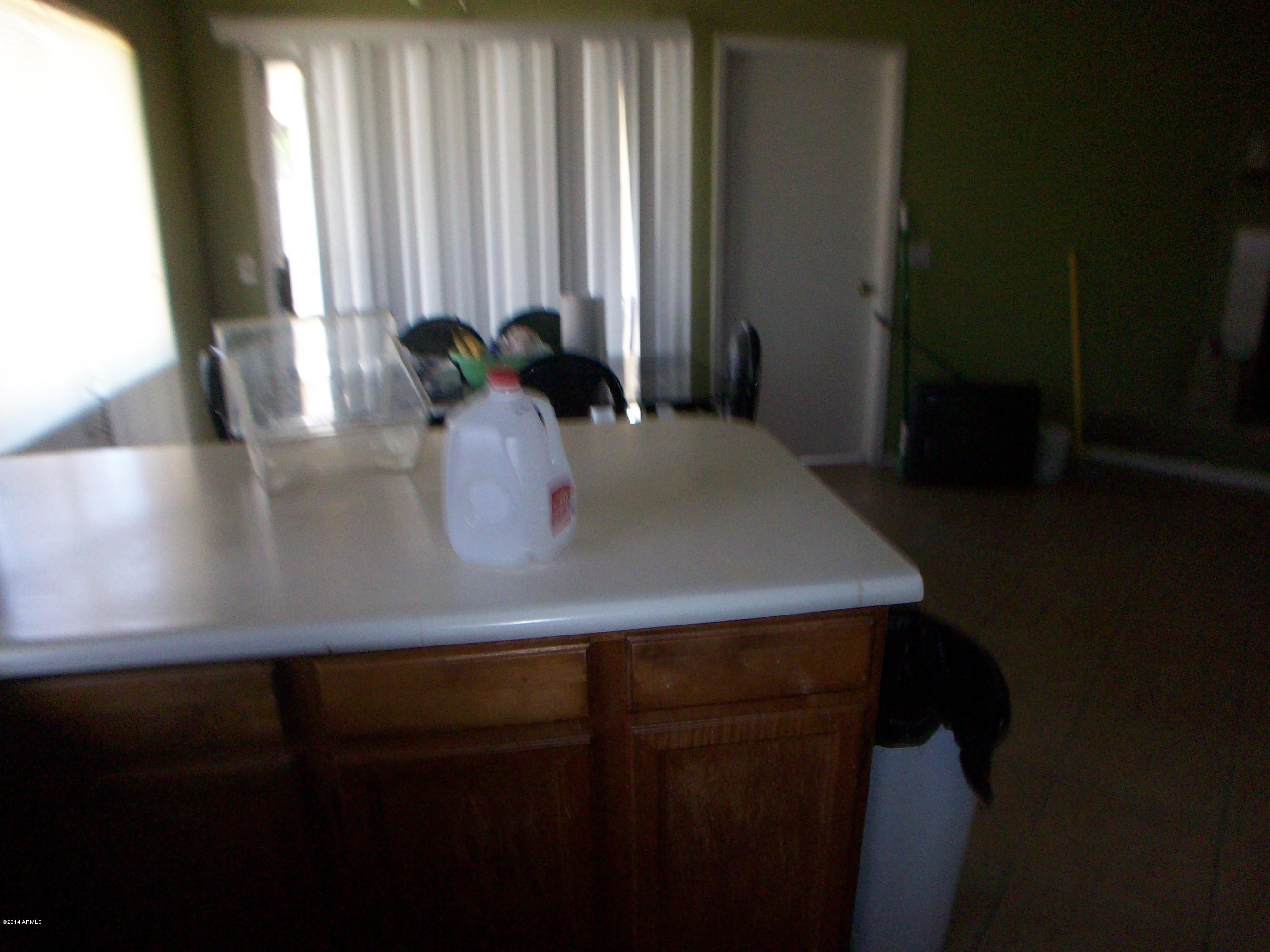 1438 East Carter Road Phoenix, AZ 85042 - Photo 12 of 26 032