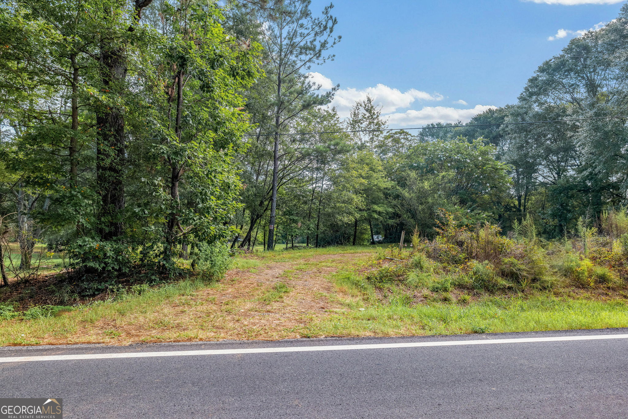 0 McElhannon Road Southeast Bethlehem, GA 30620 - Photo 3 of 23 a view of a yard with large trees