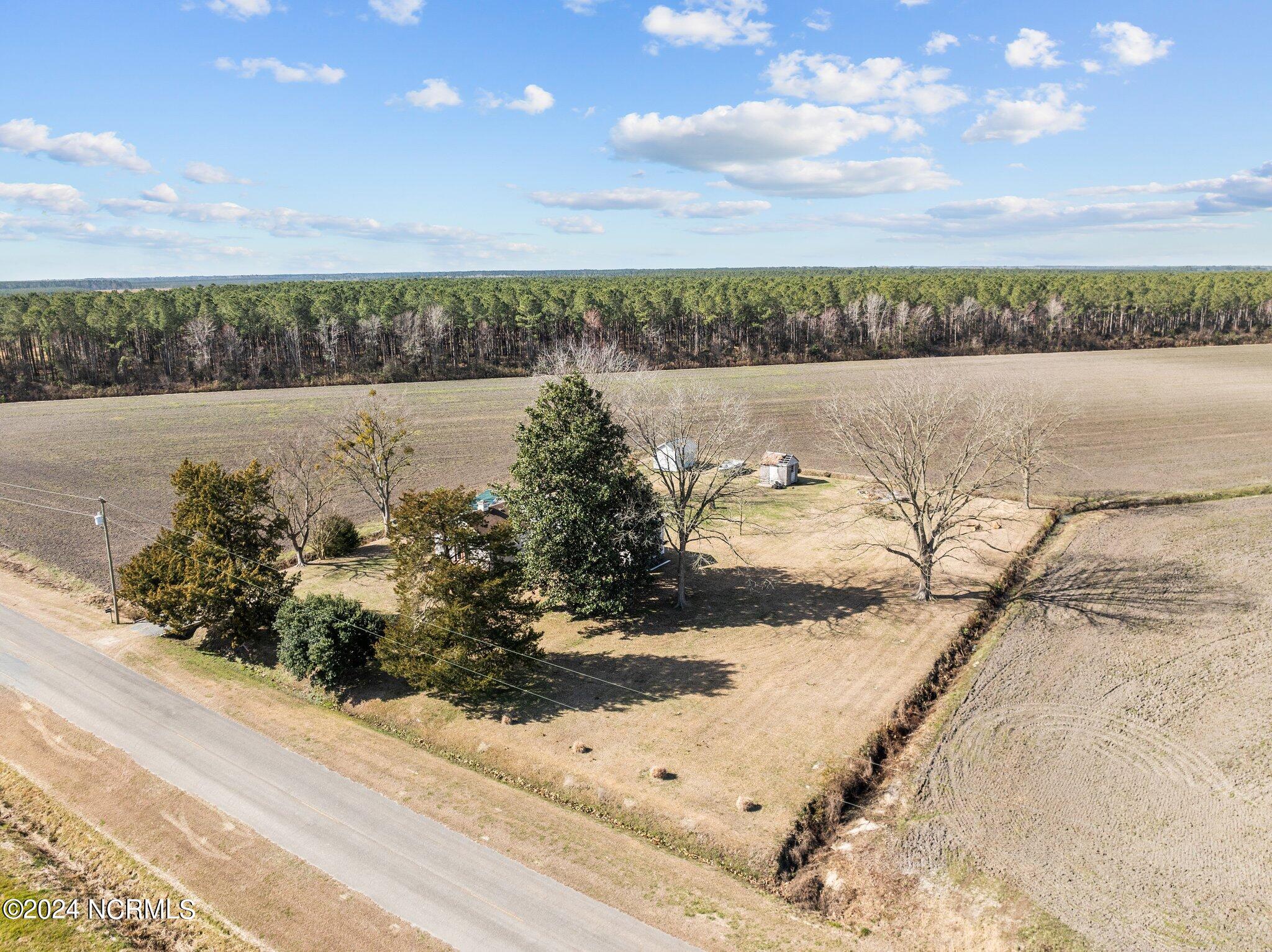 6526 Pelham Road Willard, NC 28478 - Photo 53 of 62 9-web-or-mls-DJI_0008_1