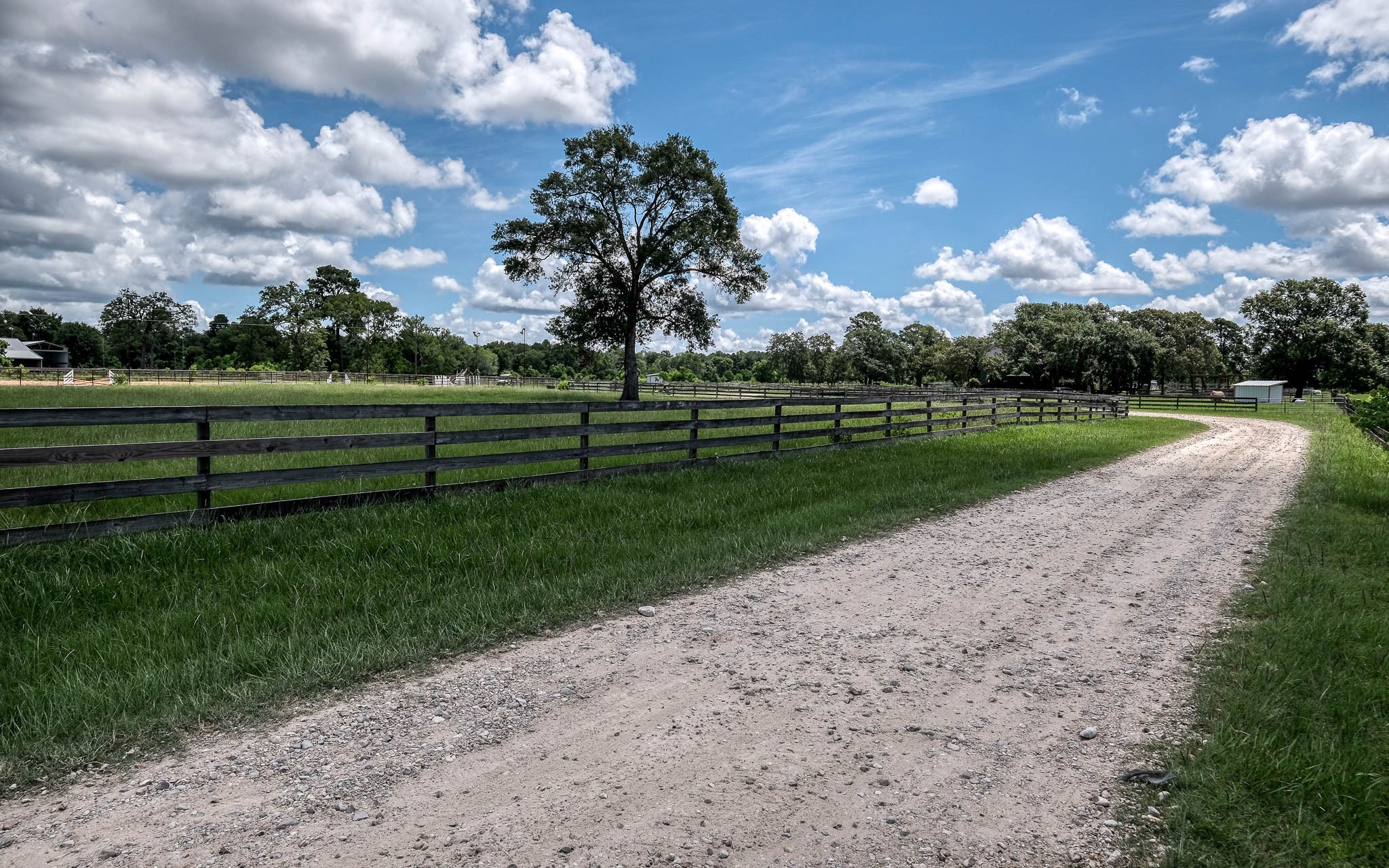 1560 Bowler Road Waller, TX 77484 - Photo 45 of 50