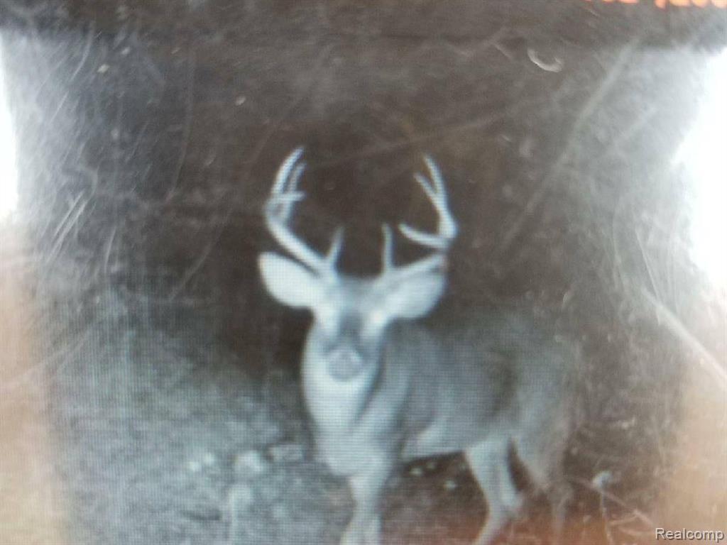Vl Whittaker Road Ypsilanti, MI 48197 - Photo 7 of 10