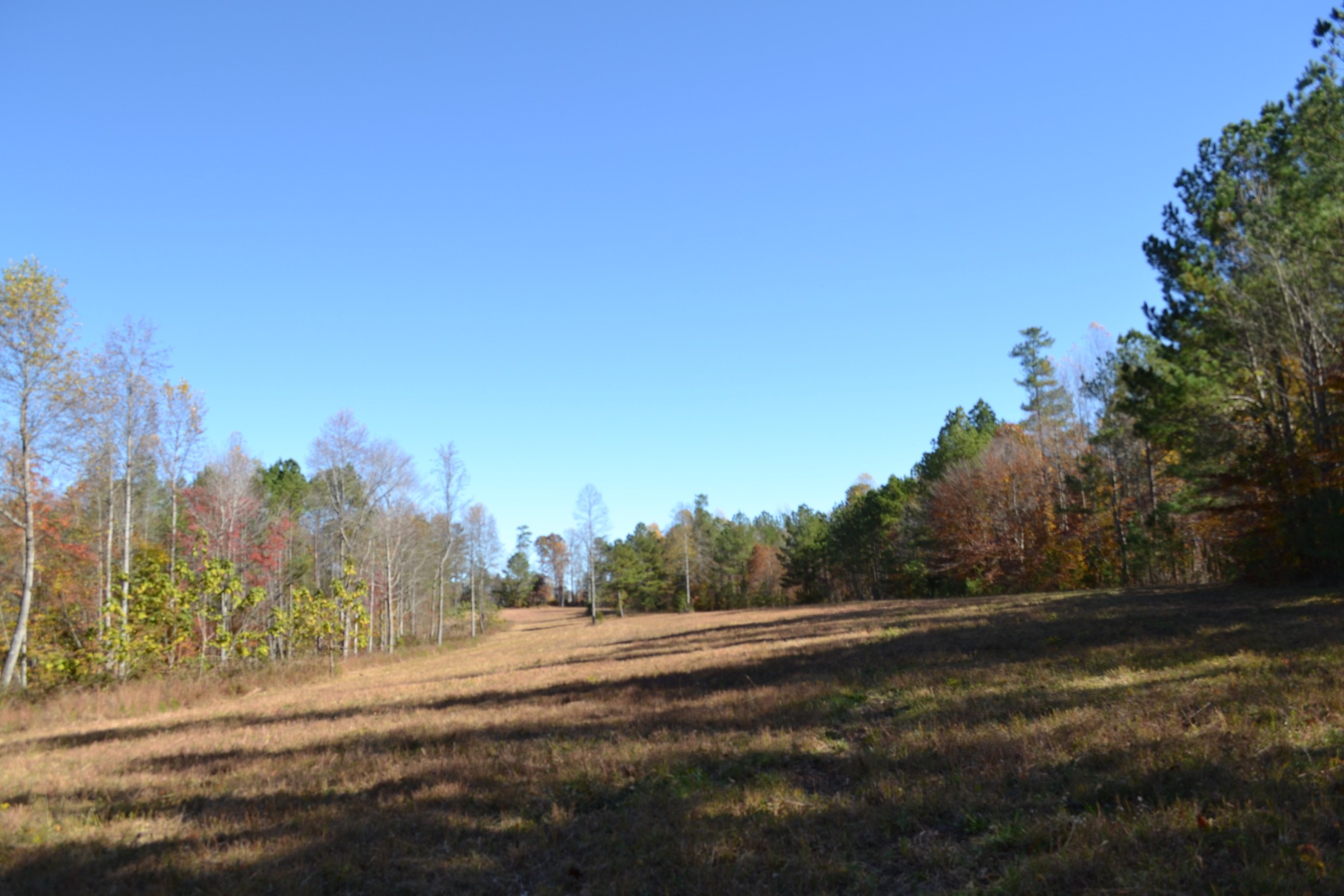 0 Whitson Hollow Road Red Boiling Springs, TN 37150 - Photo 17 of 57