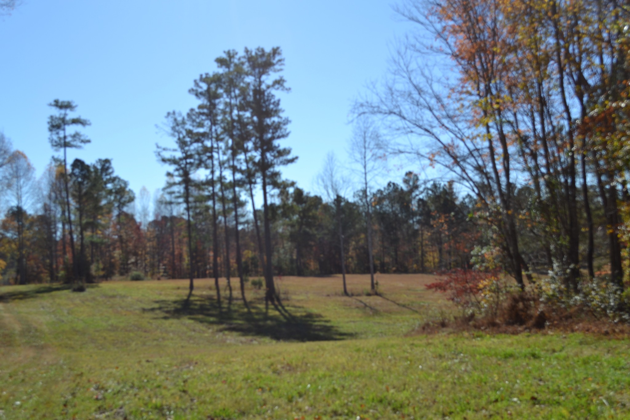 0 Whitson Hollow Road Red Boiling Springs, TN 37150 - Photo 2 of 57