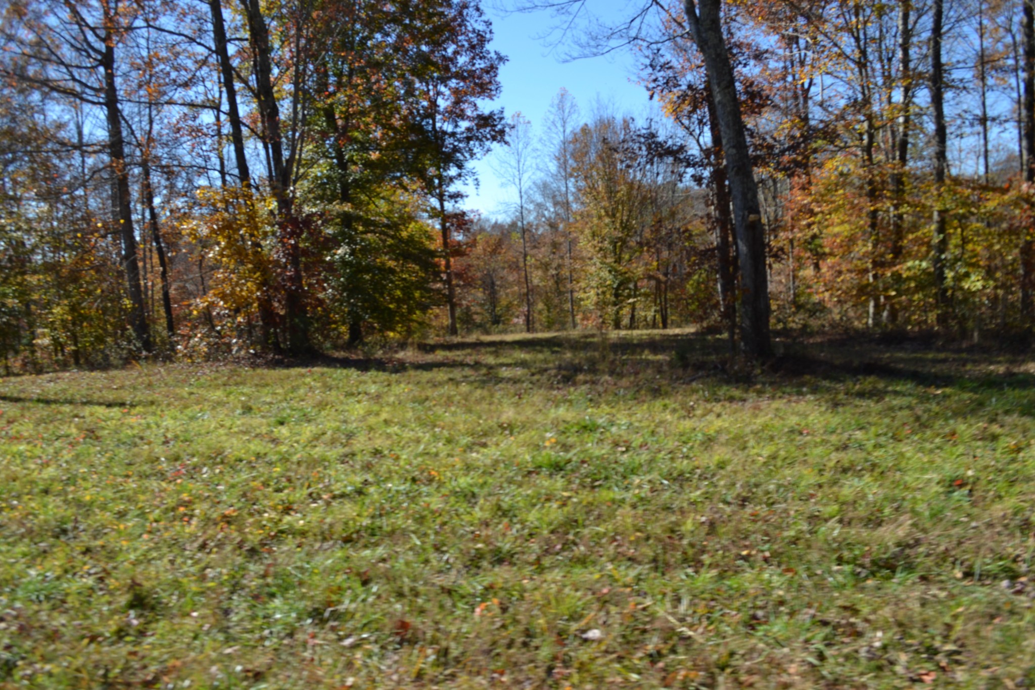 0 Whitson Hollow Road Red Boiling Springs, TN 37150 - Photo 23 of 57