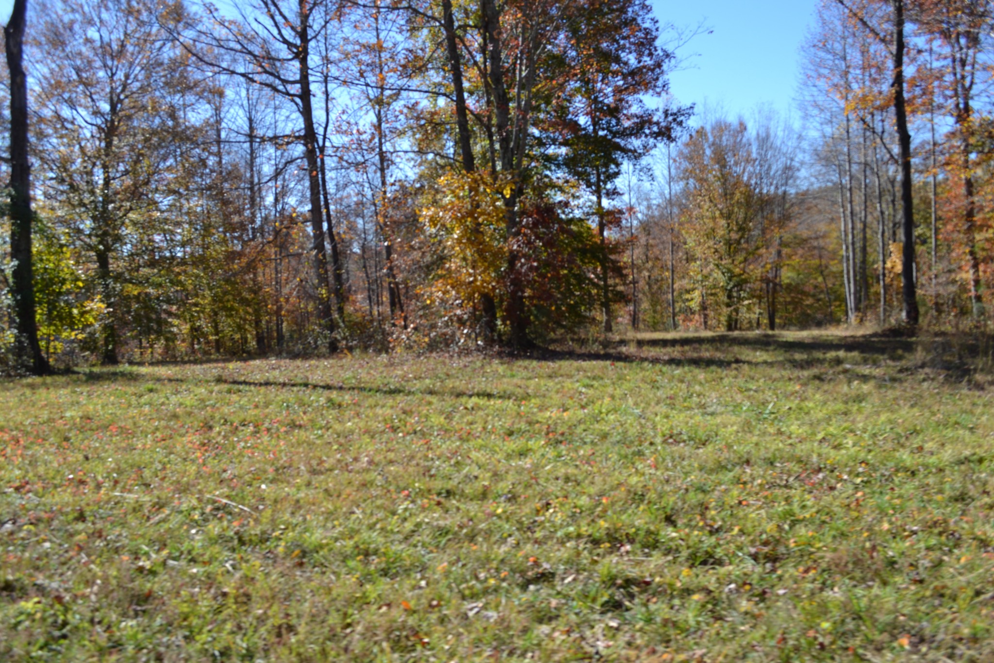 0 Whitson Hollow Road Red Boiling Springs, TN 37150 - Photo 25 of 57