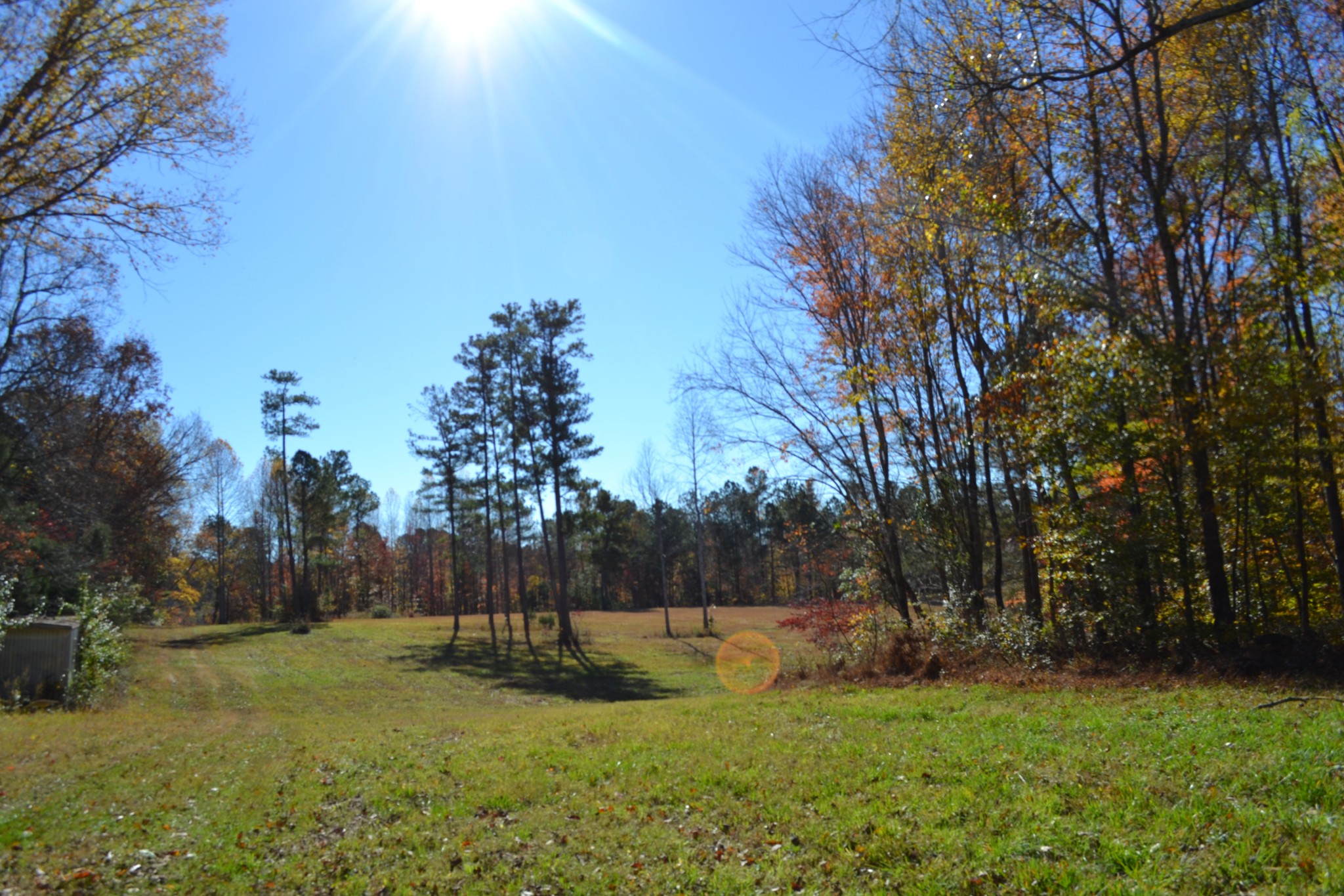 0 Whitson Hollow Road Red Boiling Springs, TN 37150 - Photo 3 of 57