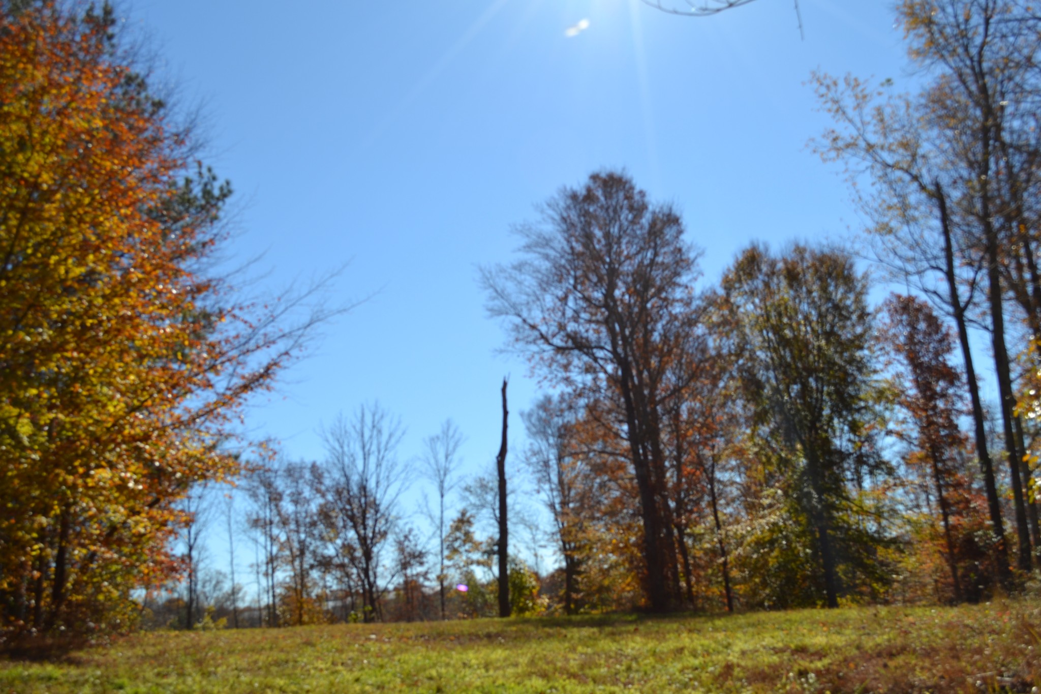 0 Whitson Hollow Road Red Boiling Springs, TN 37150 - Photo 42 of 57
