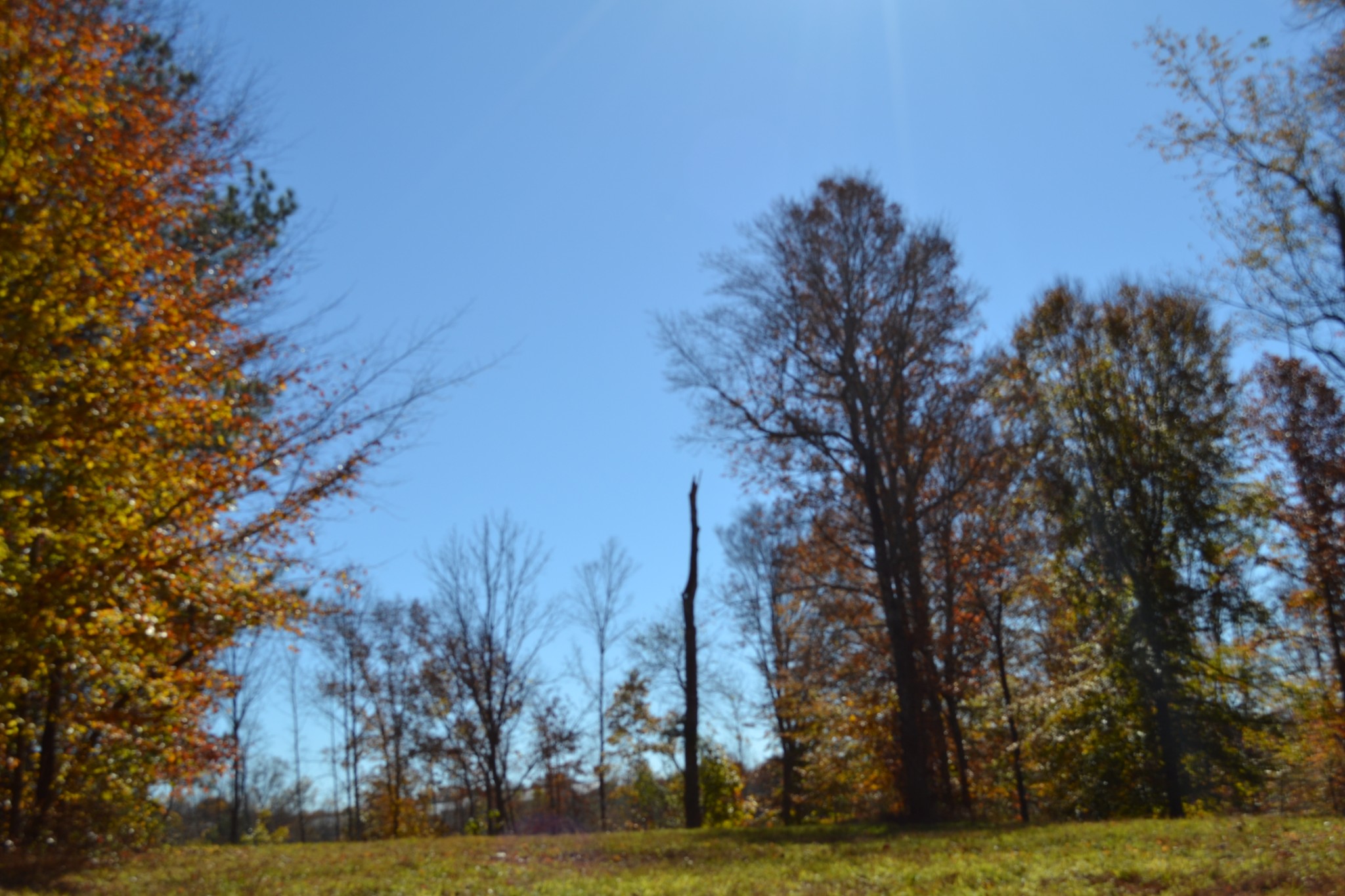 0 Whitson Hollow Road Red Boiling Springs, TN 37150 - Photo 43 of 57