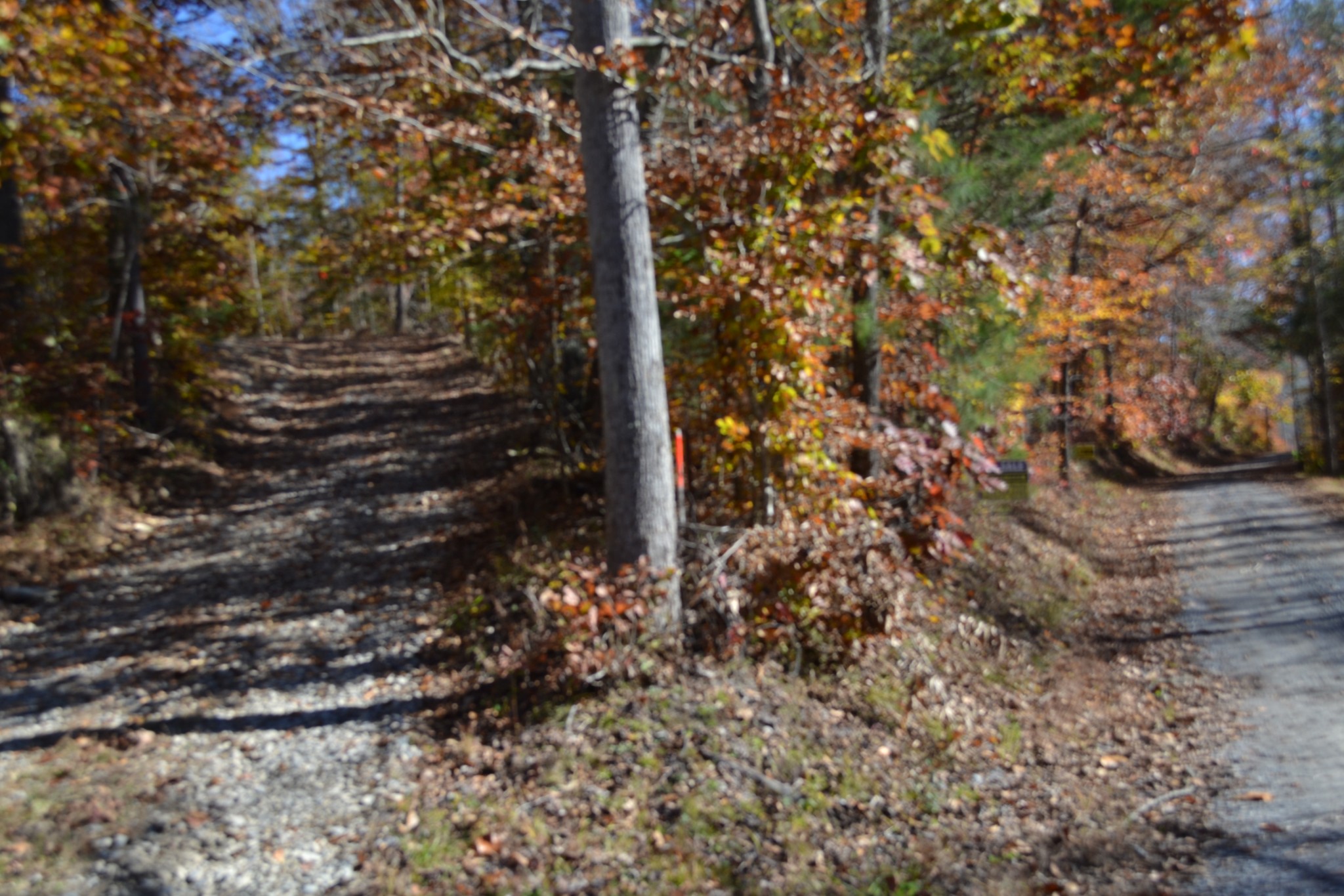 0 Whitson Hollow Road Red Boiling Springs, TN 37150 - Photo 49 of 57