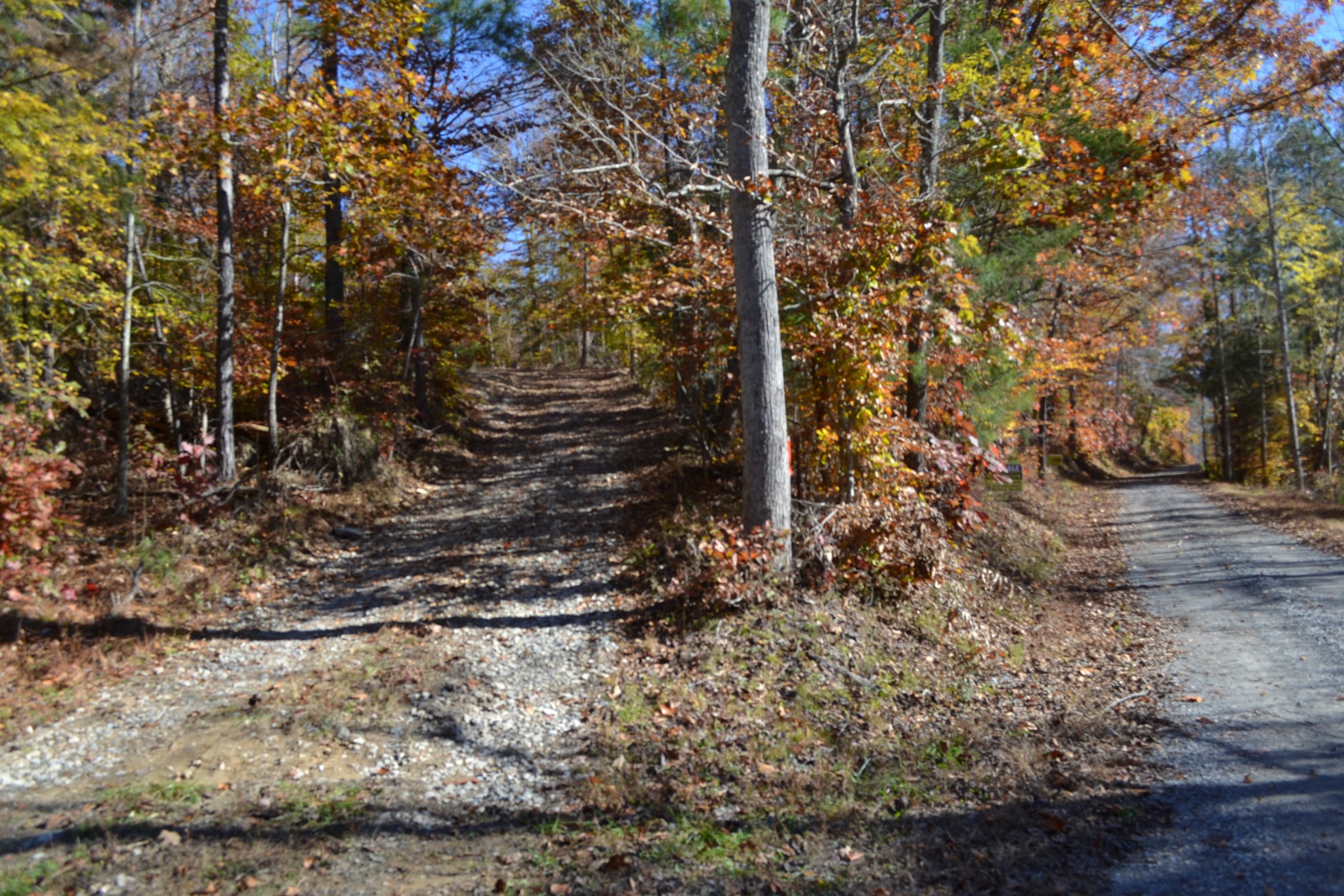 0 Whitson Hollow Road Red Boiling Springs, TN 37150 - Photo 50 of 57