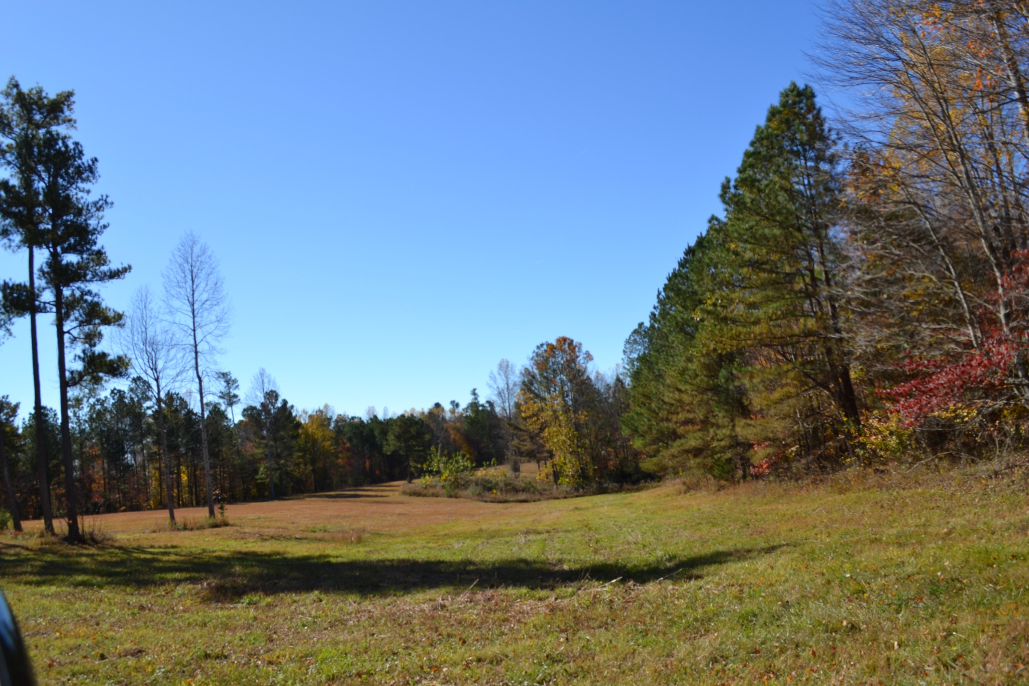 0 Whitson Hollow Road Red Boiling Springs, TN 37150 - Photo 5 of 57