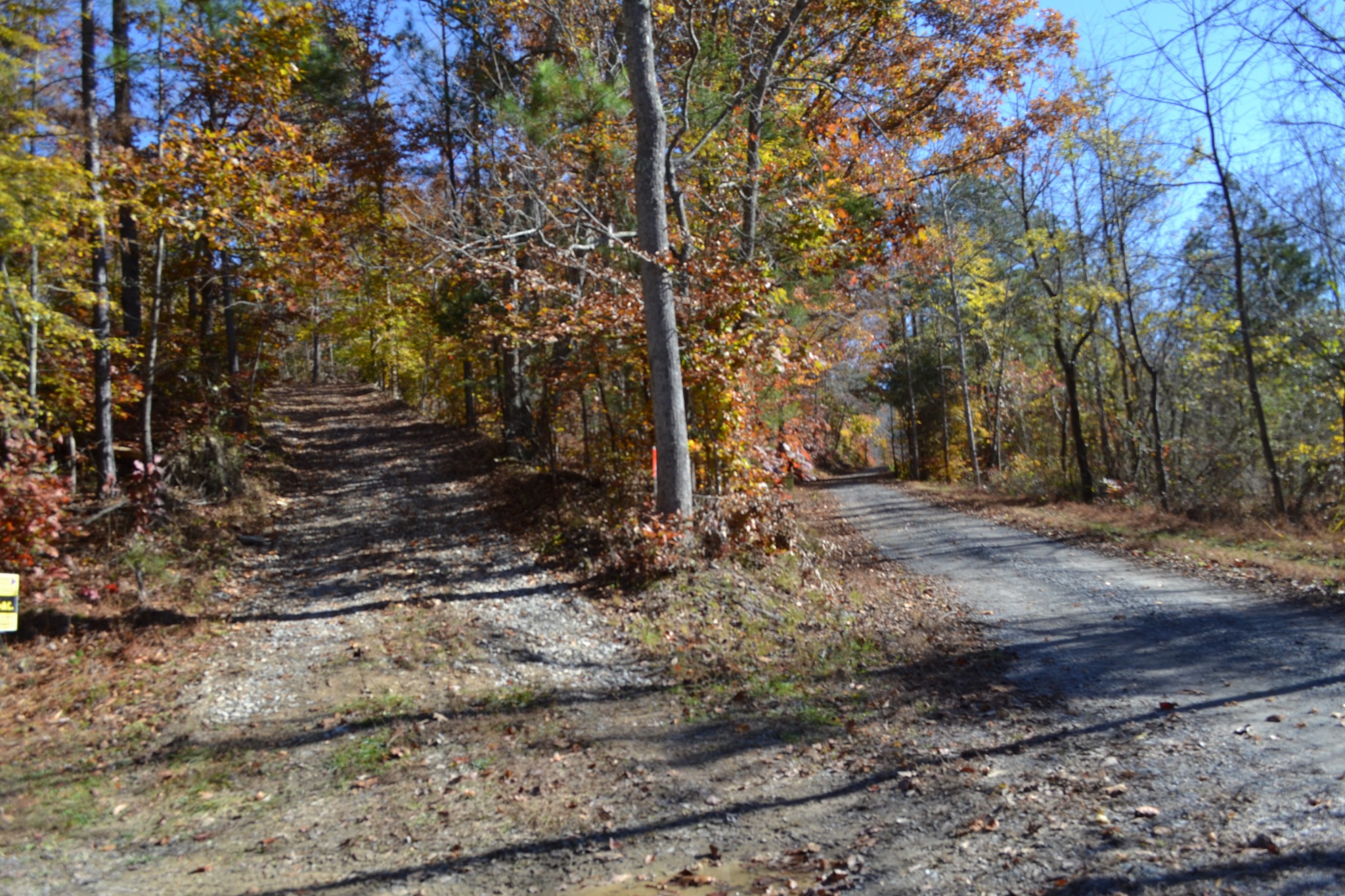 0 Whitson Hollow Road Red Boiling Springs, TN 37150 - Photo 51 of 57