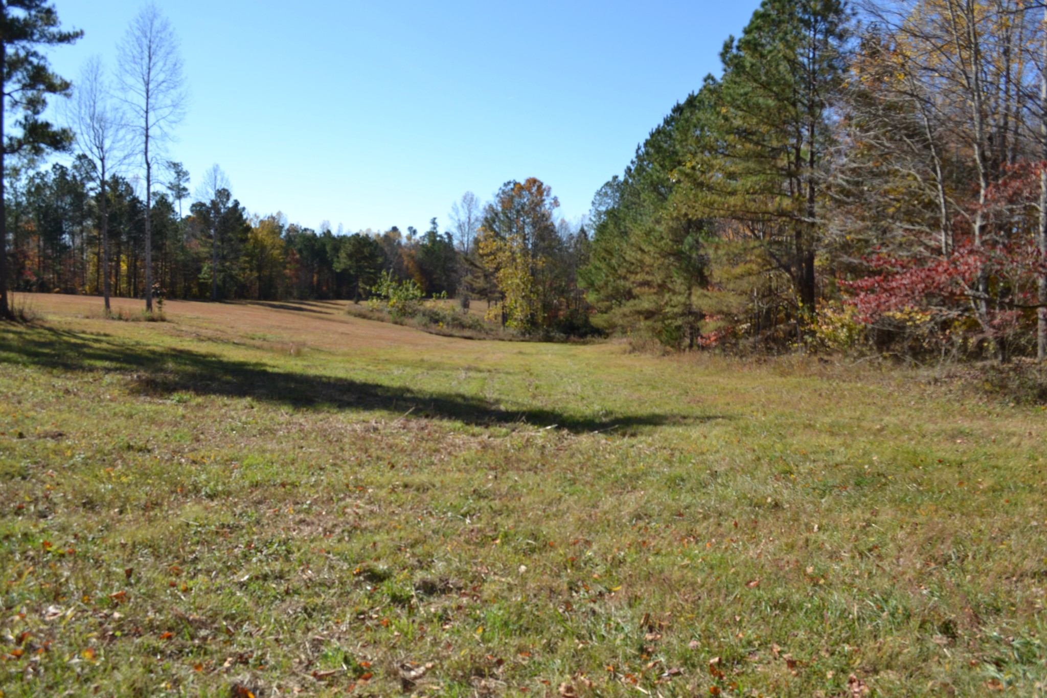 0 Whitson Hollow Road Red Boiling Springs, TN 37150 - Photo 6 of 57