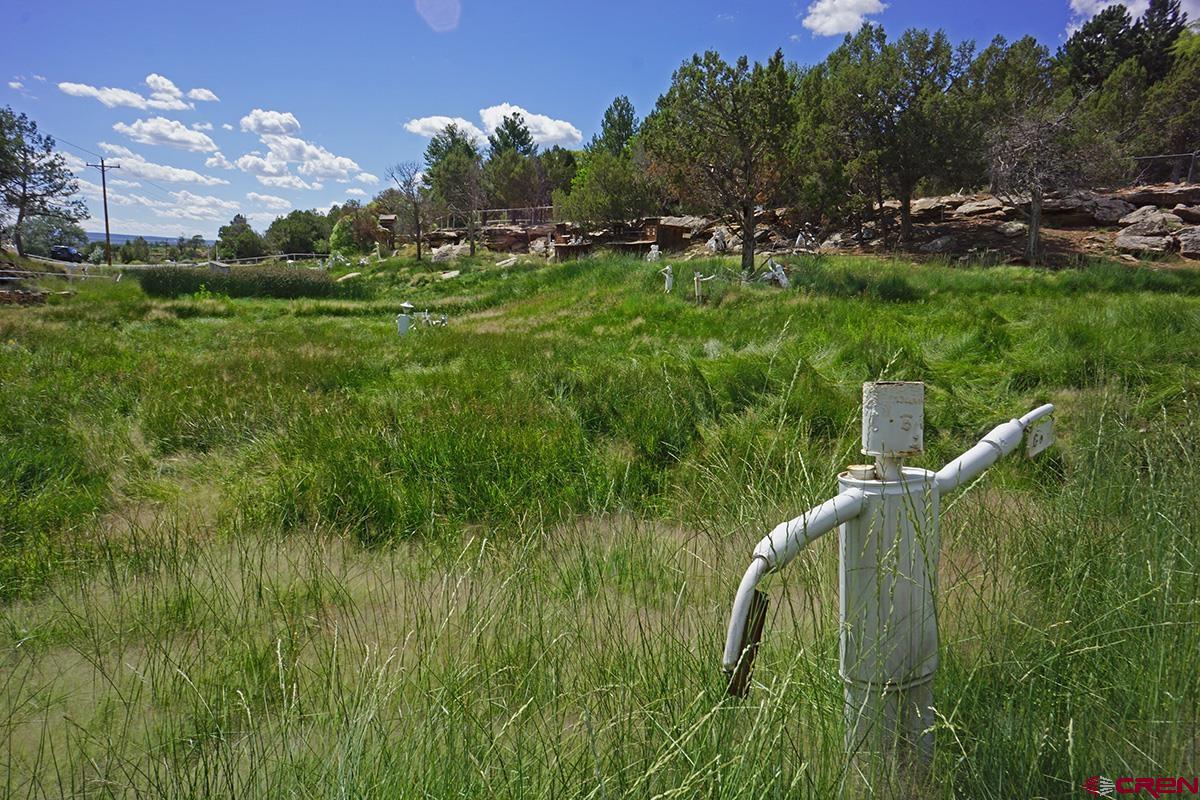 25911 Rd P Dolores, CO 81323 - Photo 26 of 35