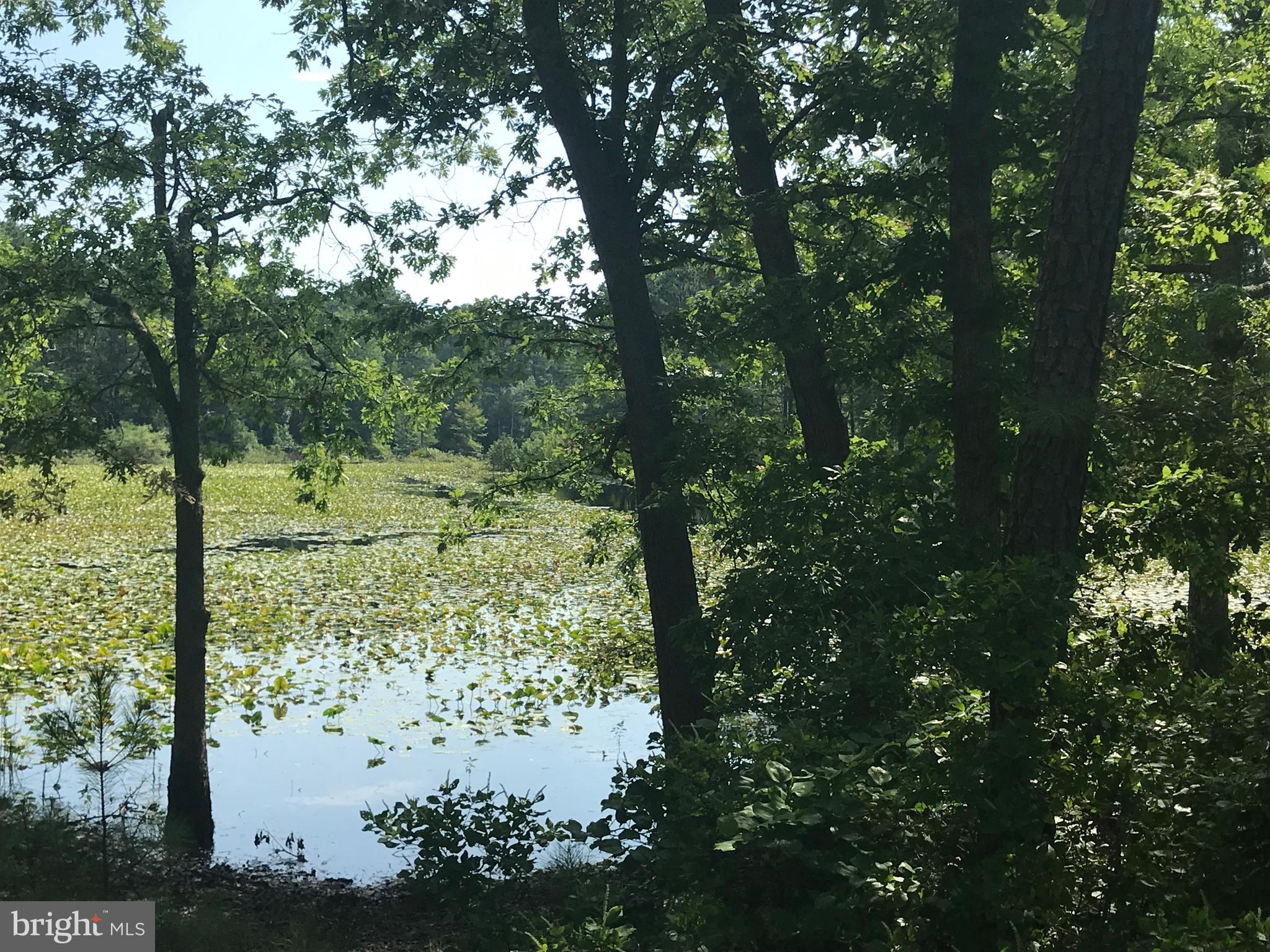 Lawrence Hayden Road California, MD 20619 - Photo 3 of 4