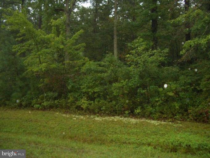 Lawrence Hayden Road California, MD 20619 - Photo 4 of 4