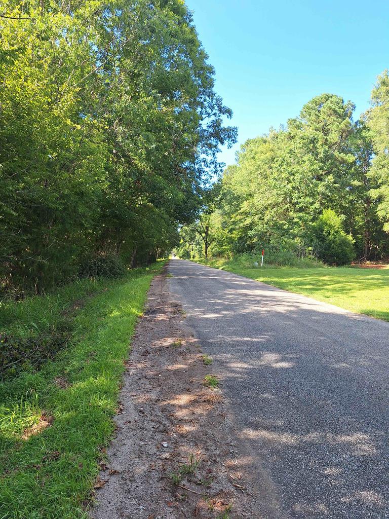 5124 Callison Road Bradley, SC 29819 - Photo 6 of 24