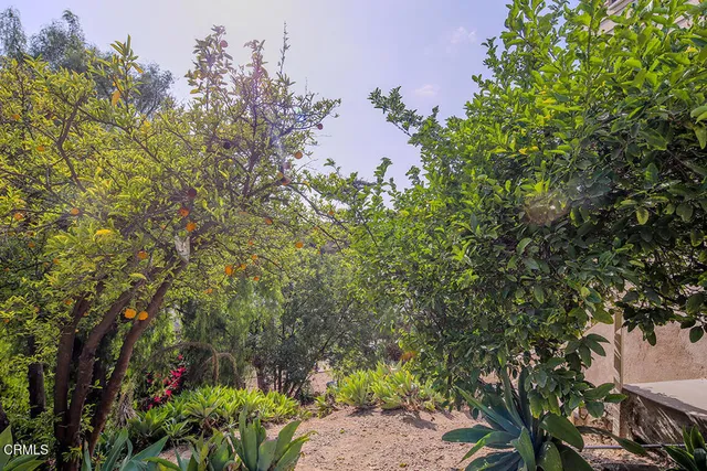 a backyard of a house with lots of green space and garden