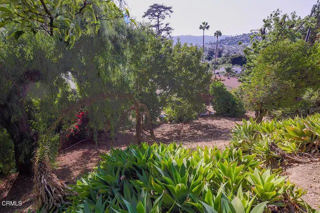 a backyard of a house with lots of green space