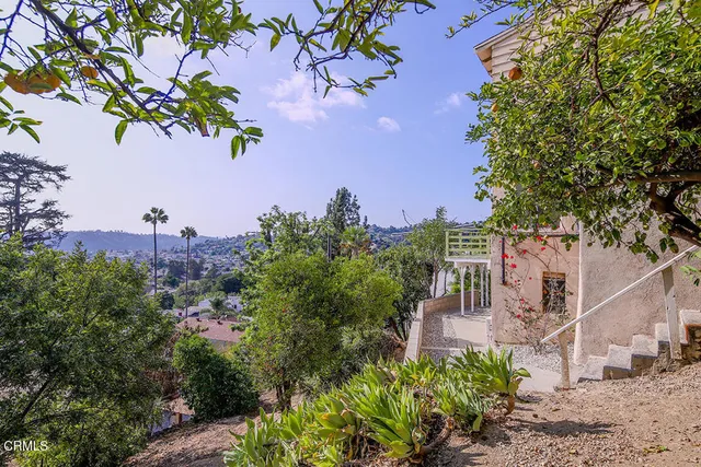 a view of a flower in a garden