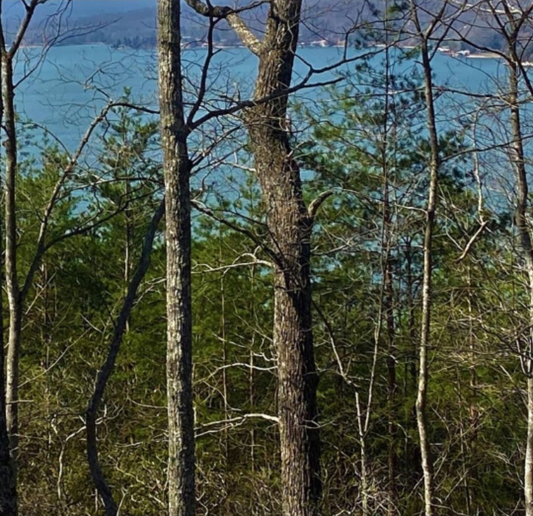 1 Branham Road Ten Mile, TN 37880 - Photo 1 of 2