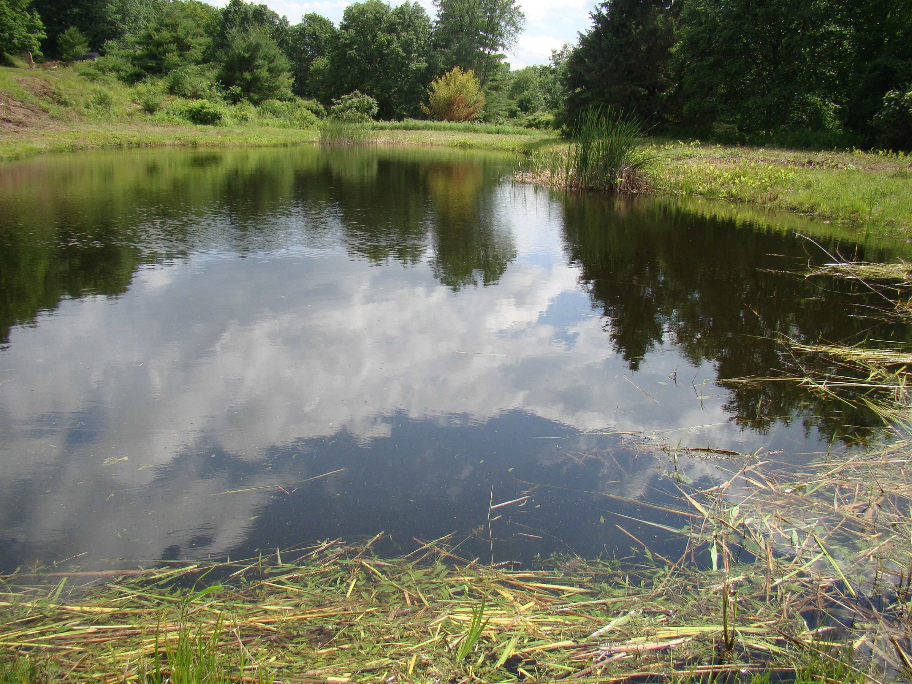 764 Thrall Road Poultney, VT 05764 - Photo 23 of 23