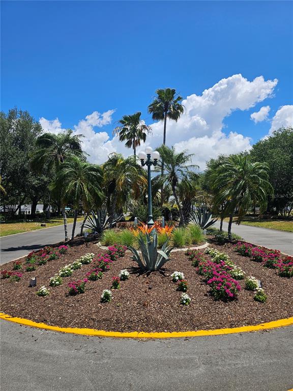 110 Roma Road Venice, FL 34285 - Photo 34 of 45 a view of a park with large trees
