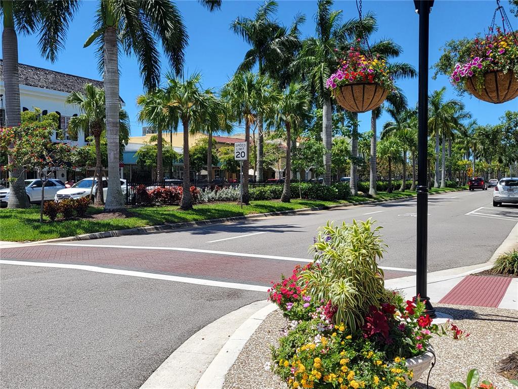 110 Roma Road Venice, FL 34285 - Photo 40 of 45 a view of a street with a flower plants