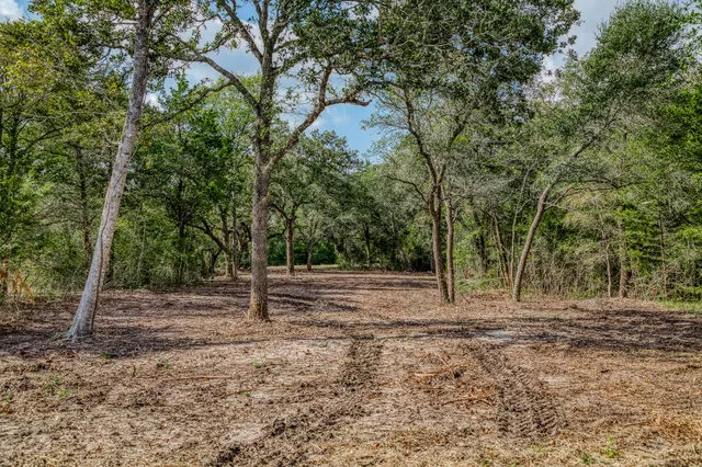a backyard of a house with lots of trees