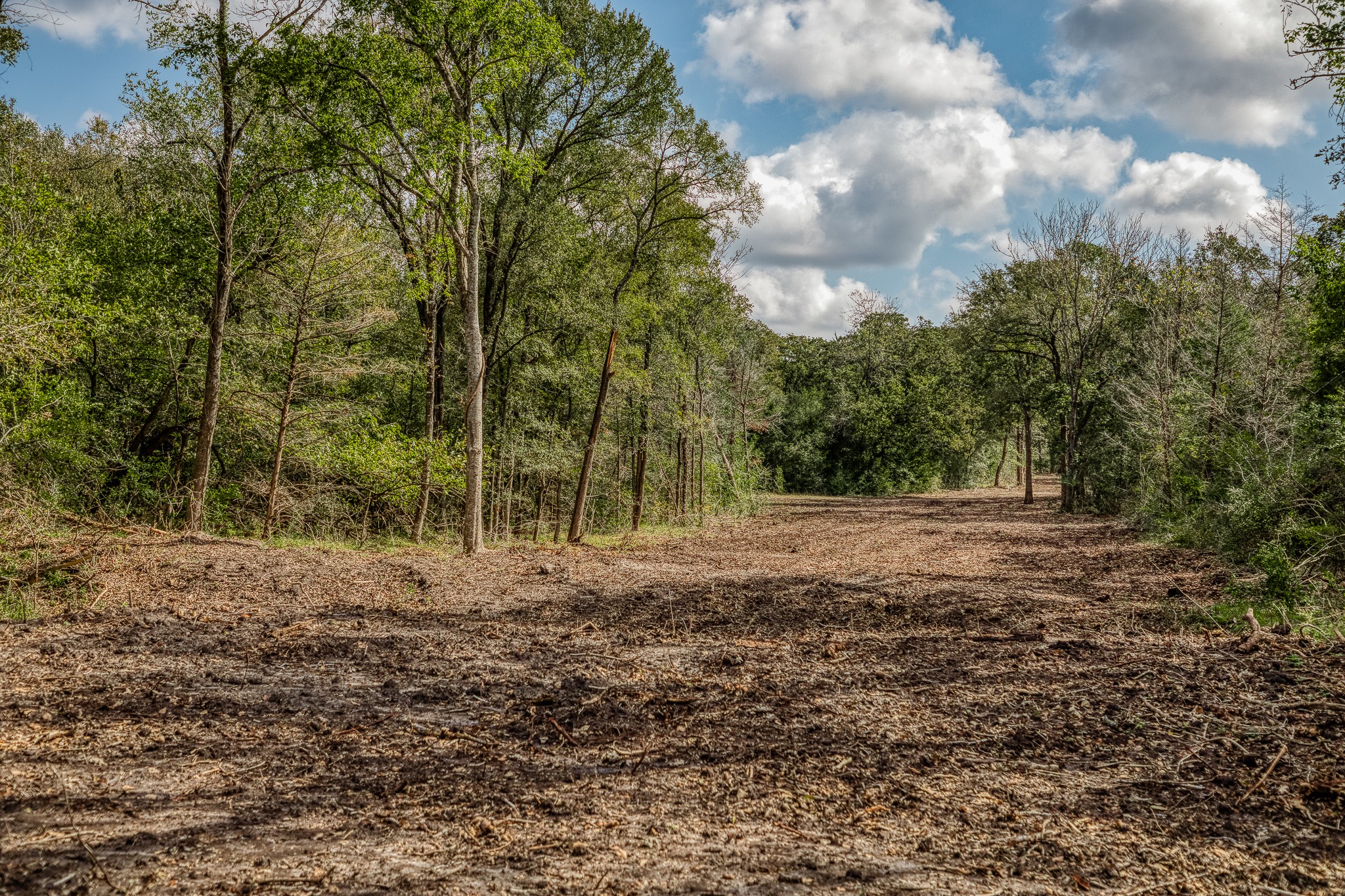 5 Sun Oil Road Brenham, TX 77833 - Photo 17 of 28 a view of outdoor space with trees