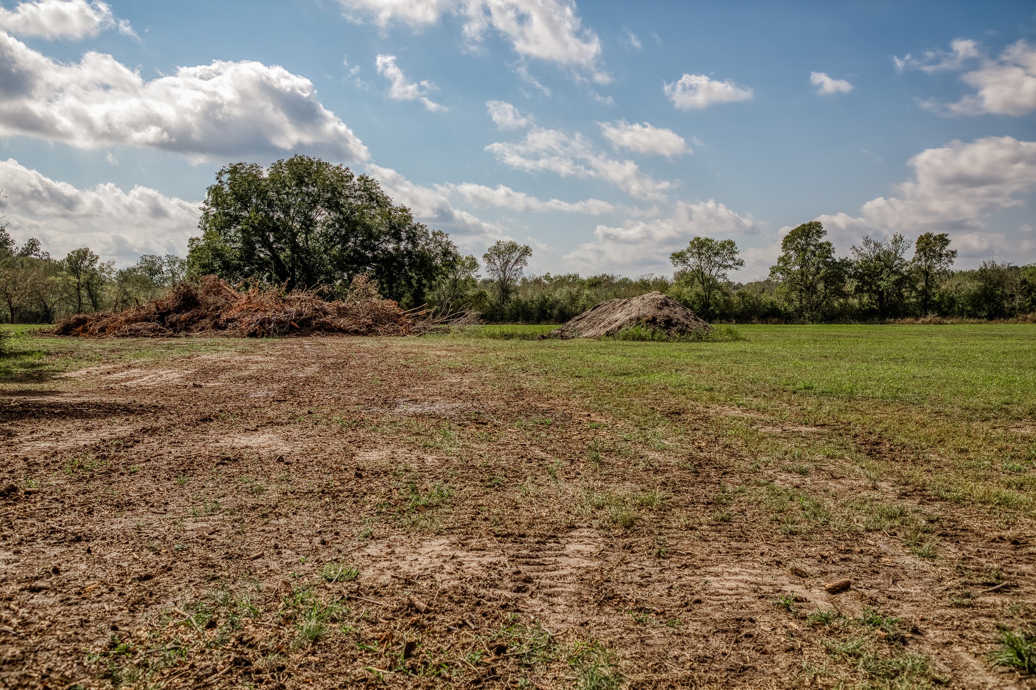 5 Sun Oil Road Brenham, TX 77833 - Photo 18 of 28 a view of a big yard with plants and large trees