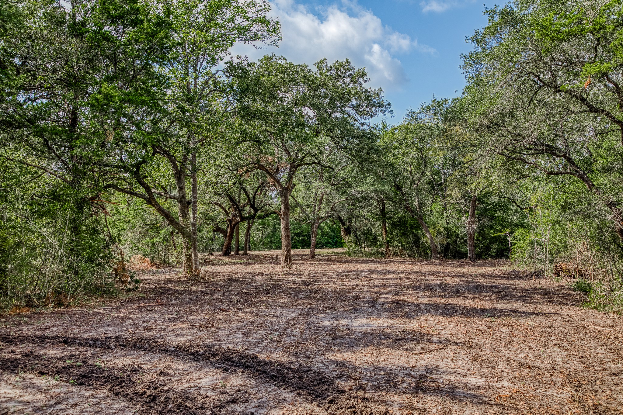 5 Sun Oil Road Brenham, TX 77833 - Photo 2 of 28 a view of road with trees in the background