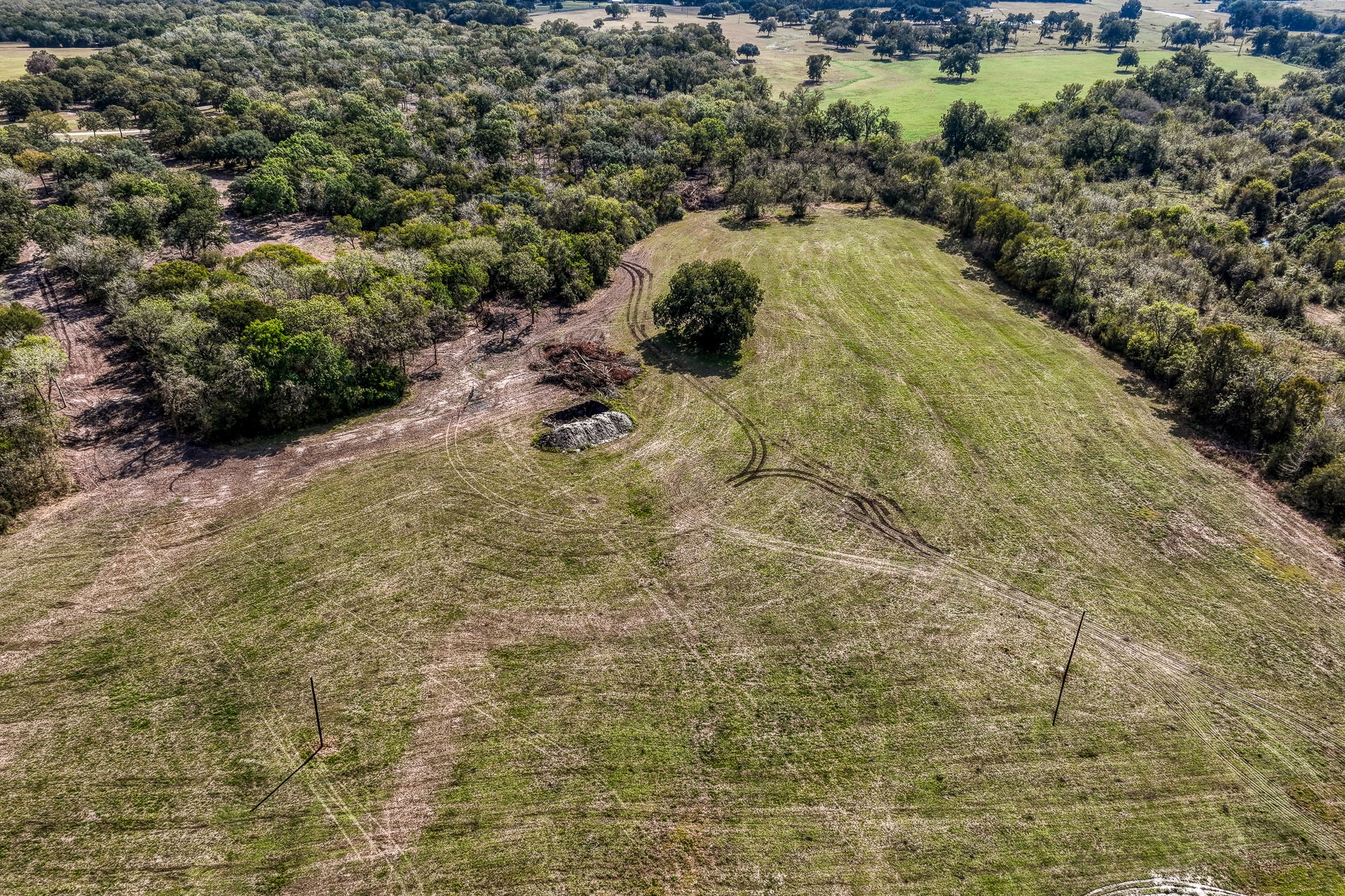 5 Sun Oil Road Brenham, TX 77833 - Photo 25 of 28 a view of a yard with plants