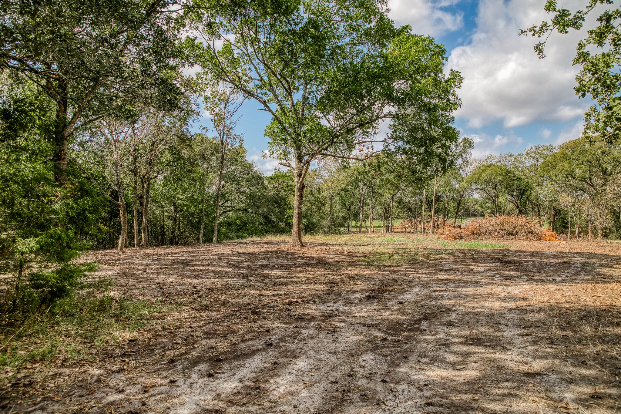5 Sun Oil Road Brenham, TX 77833 - Photo 3 of 28 a view of dirt field with trees
