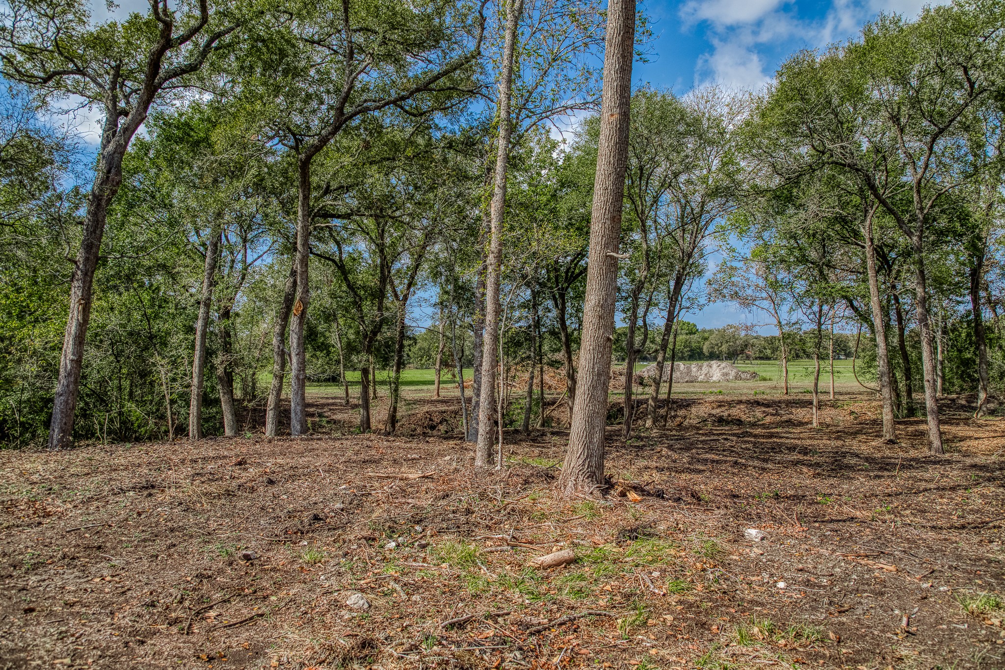 5 Sun Oil Road Brenham, TX 77833 - Photo 5 of 28 a backyard of a house with lots of green space