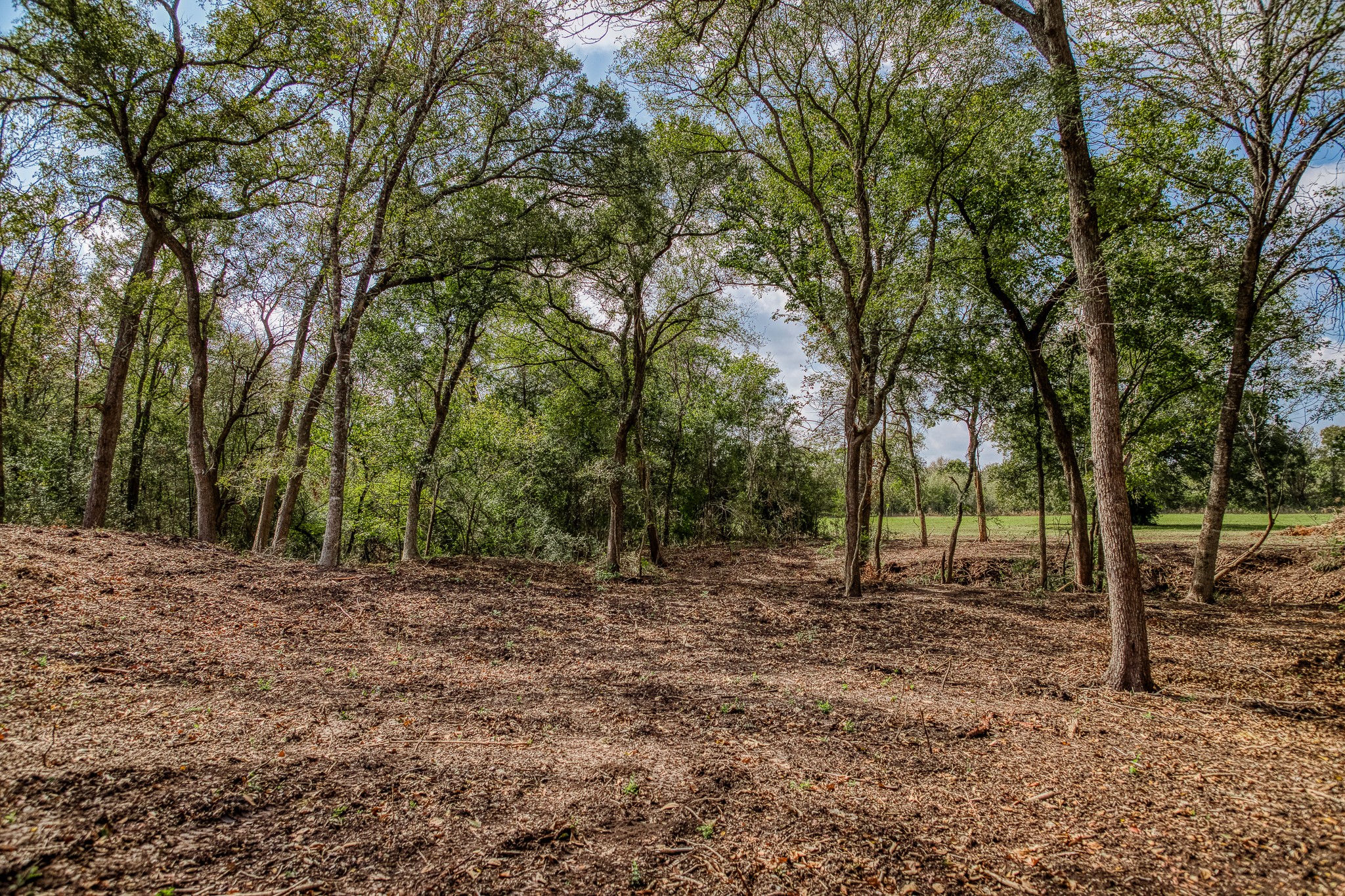 5 Sun Oil Road Brenham, TX 77833 - Photo 6 of 28 a backyard of a house with lots of trees