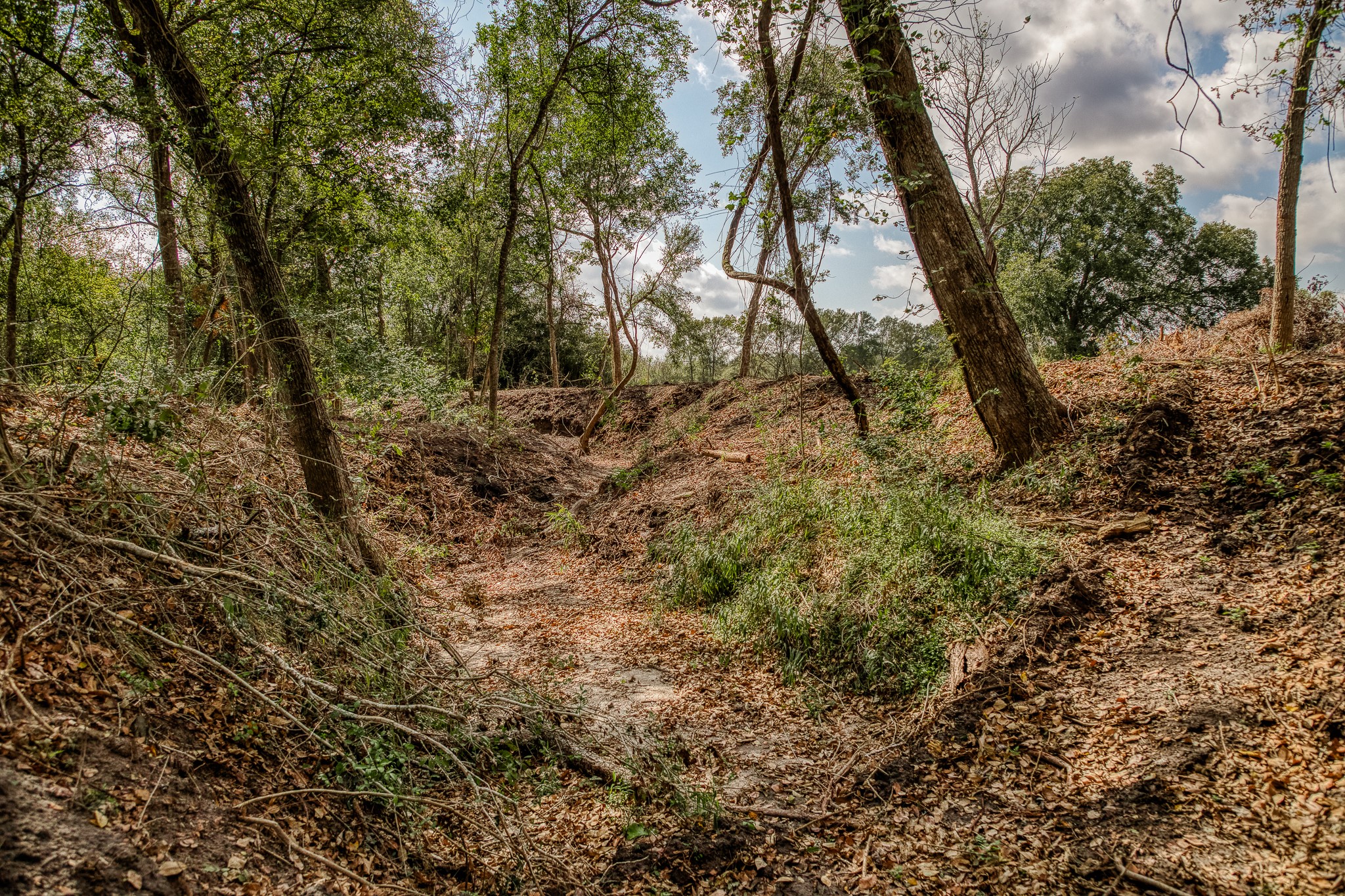 5 Sun Oil Road Brenham, TX 77833 - Photo 9 of 28 a view of a yard