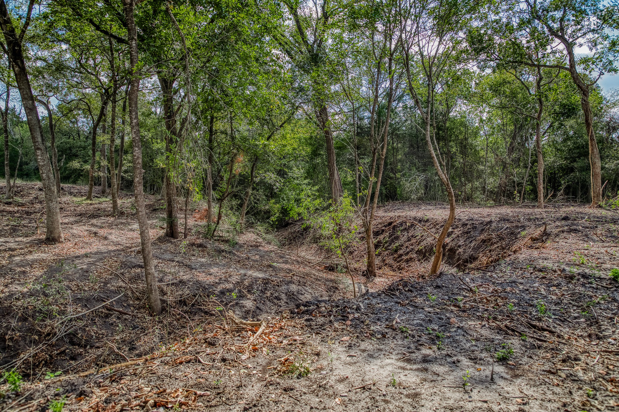 5 Sun Oil Road Brenham, TX 77833 - Photo 10 of 28 a view of a forest with trees in the background