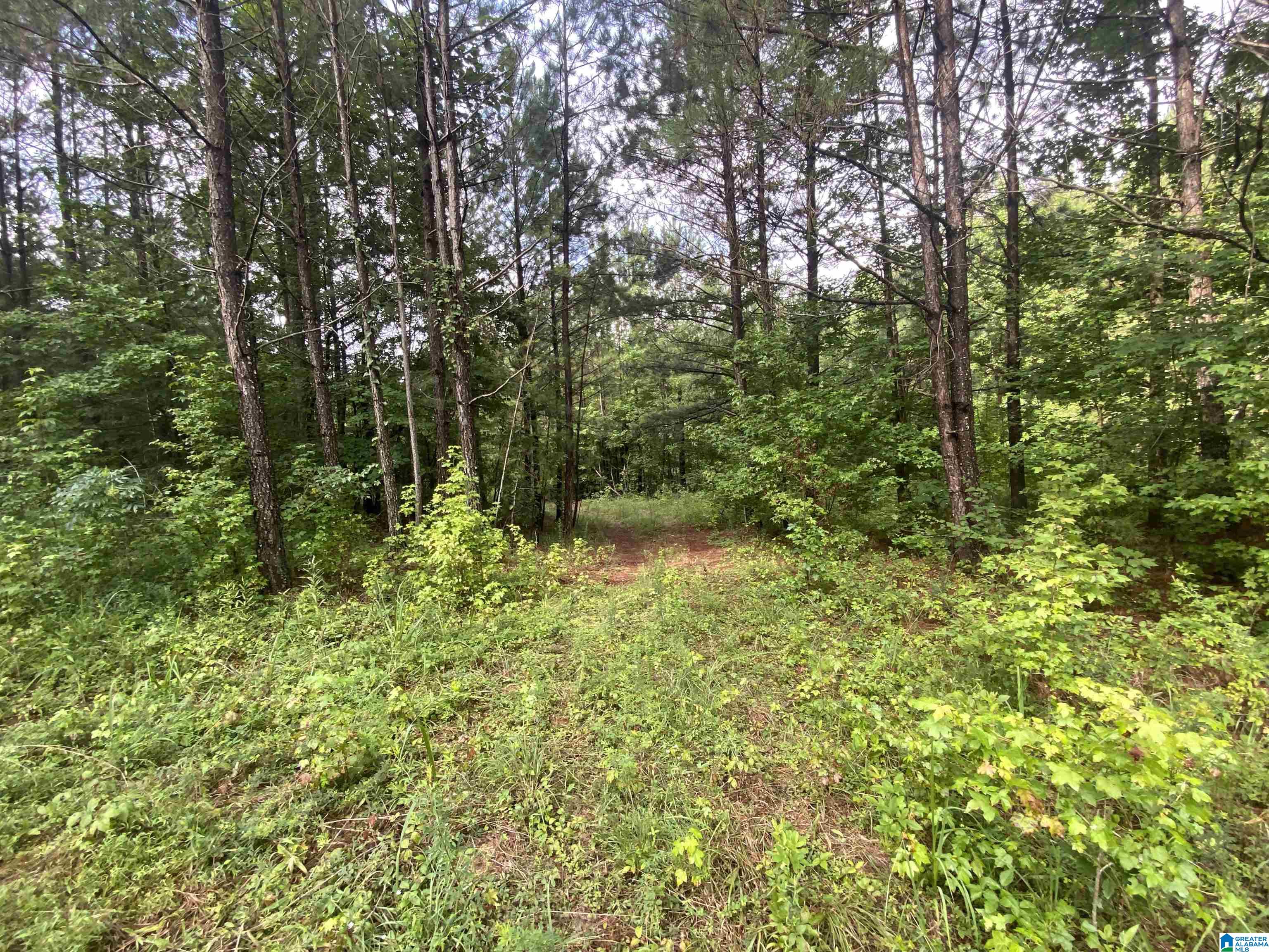 Bull Hollow Road, Unit 60 Odenville, AL 35120 - Photo 22 of 25
