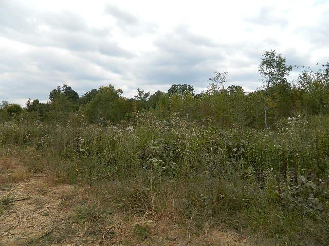 0 Trotter Road Waverly, TN 37185 - Photo 3 of 5 Gallery Image 3