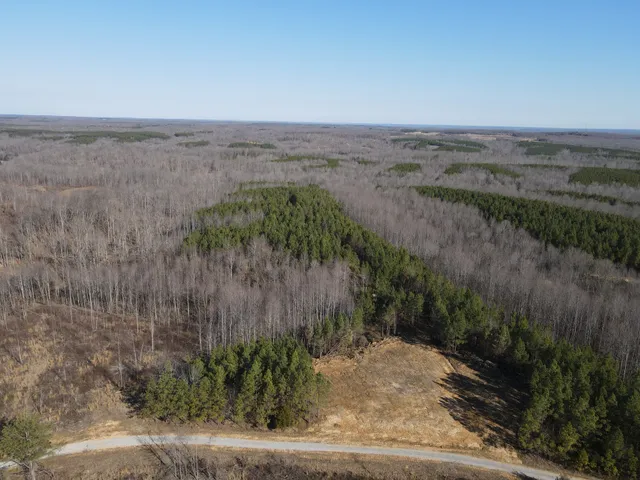 $176,000 | 0 Hurricane Creek Road, Dover, TN 37058