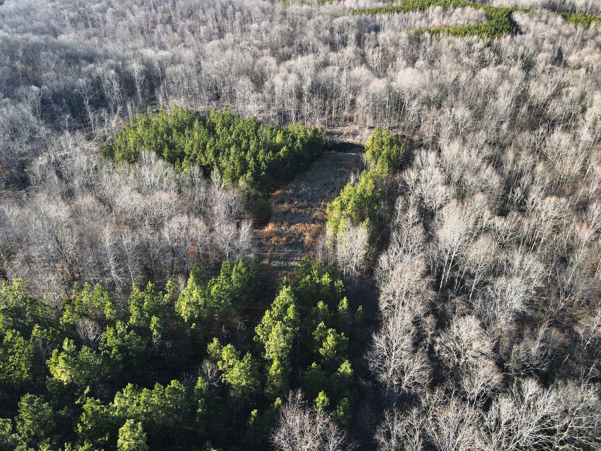 0 Hurricane Creek Road Dover, TN 37058 - Photo 2 of 10