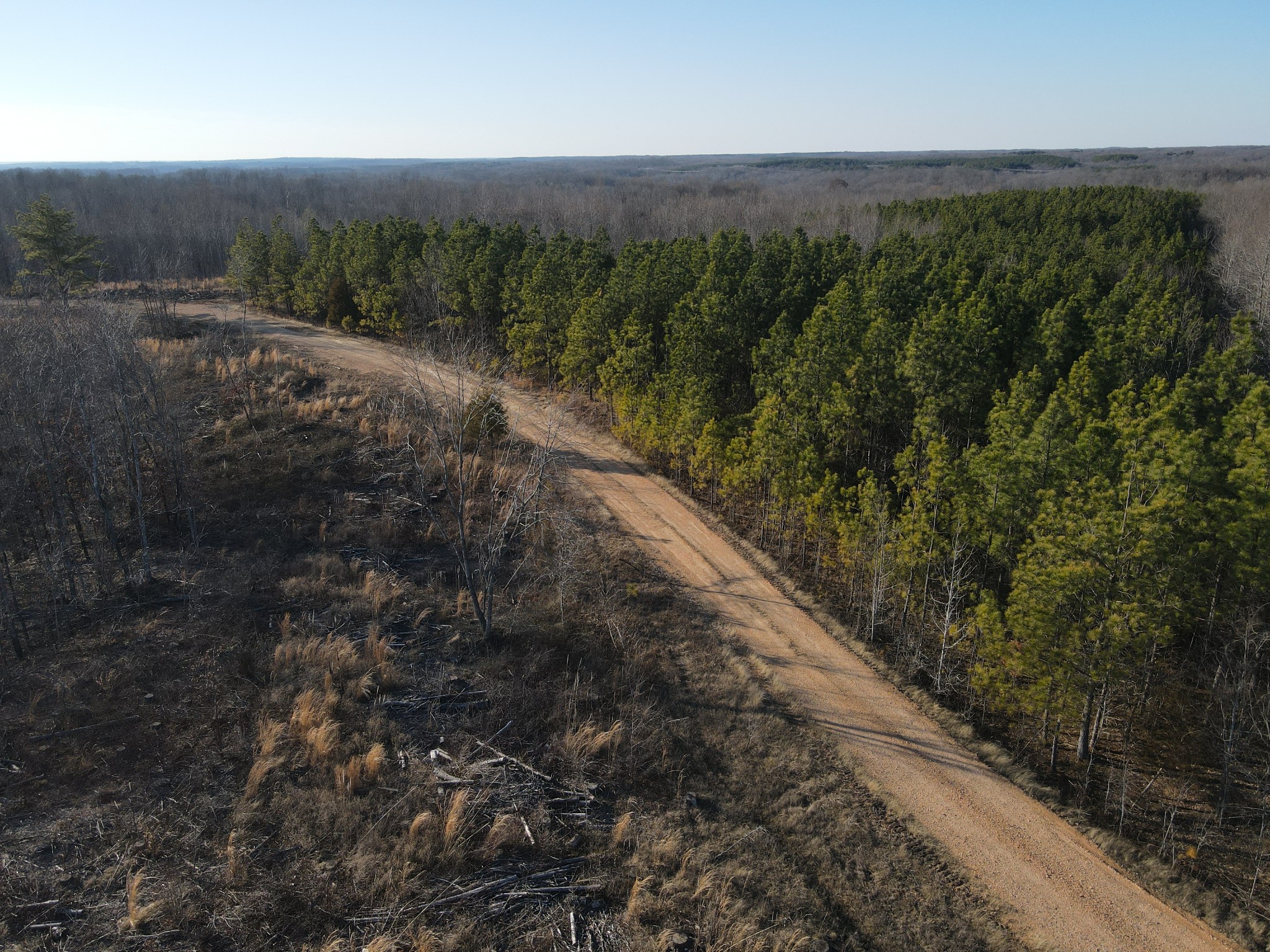 0 Hurricane Creek Road Dover, TN 37058 - Photo 4 of 10