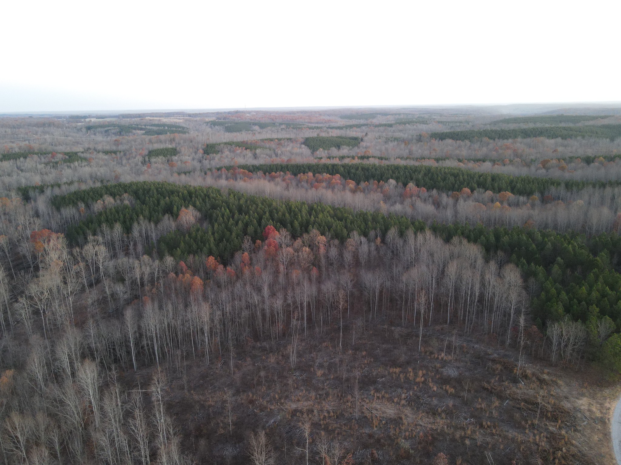 0 Hurricane Creek Road Dover, TN 37058 - Photo 6 of 10