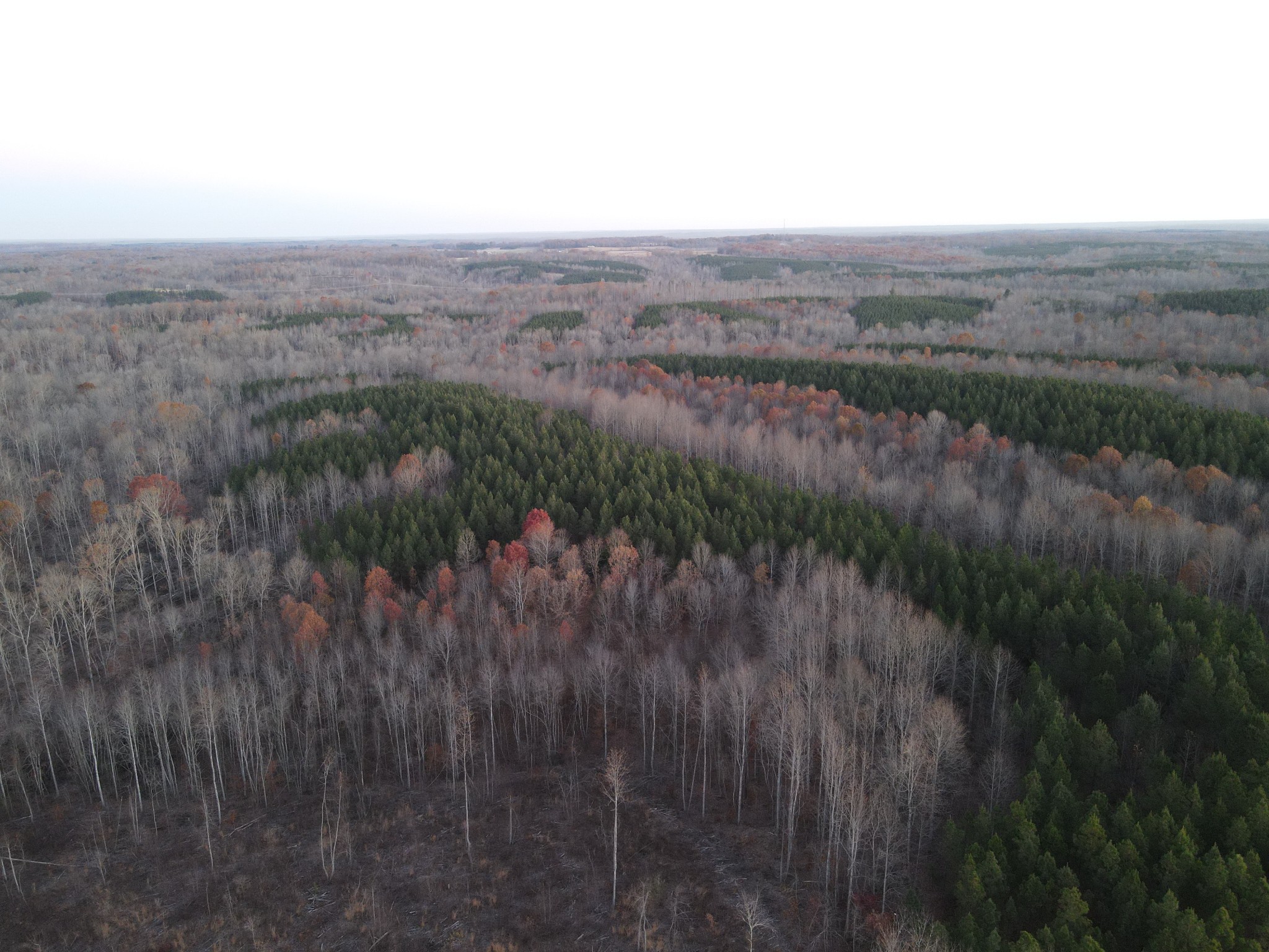 0 Hurricane Creek Road Dover, TN 37058 - Photo 7 of 10