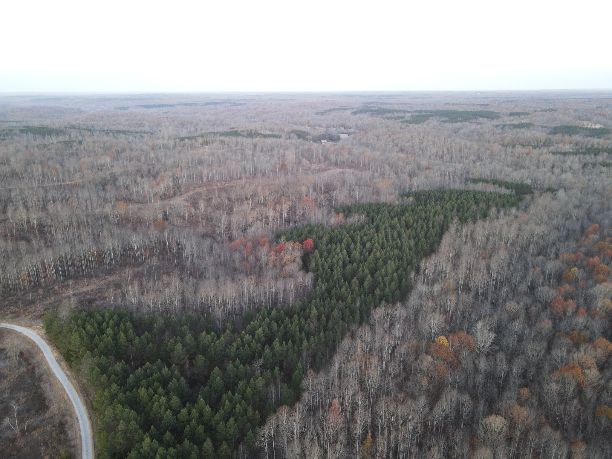 0 Hurricane Creek Road Dover, TN 37058 - Photo 8 of 10