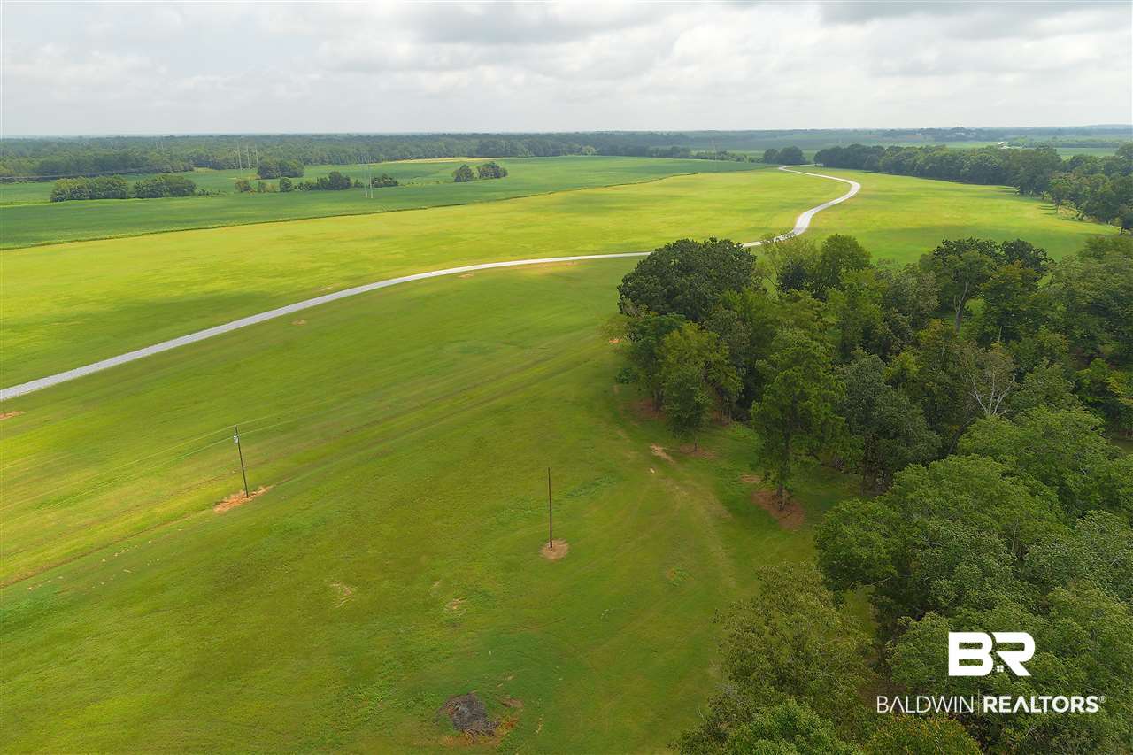 0 Jimmy Phillips Road Greensboro, AL 36744 - Photo 1 of 16