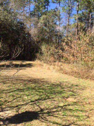 17667 Angels Way Loxley, AL 36551 - Photo 4 of 8