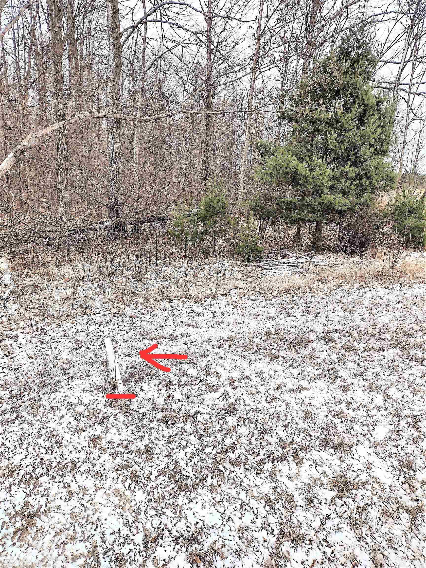 907 South Marshall Road Beulah, MI 49617 - Photo 15 of 29 Gallery Image 15
