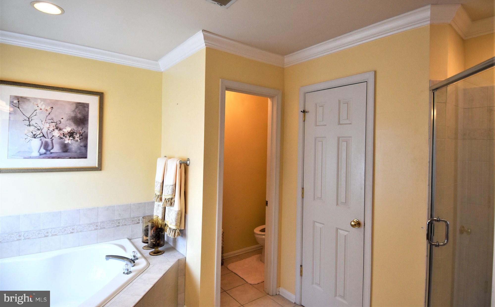 2420 Powderhorn Way Crofton, MD 21114 - Photo 38 of 85 Private Water Closet